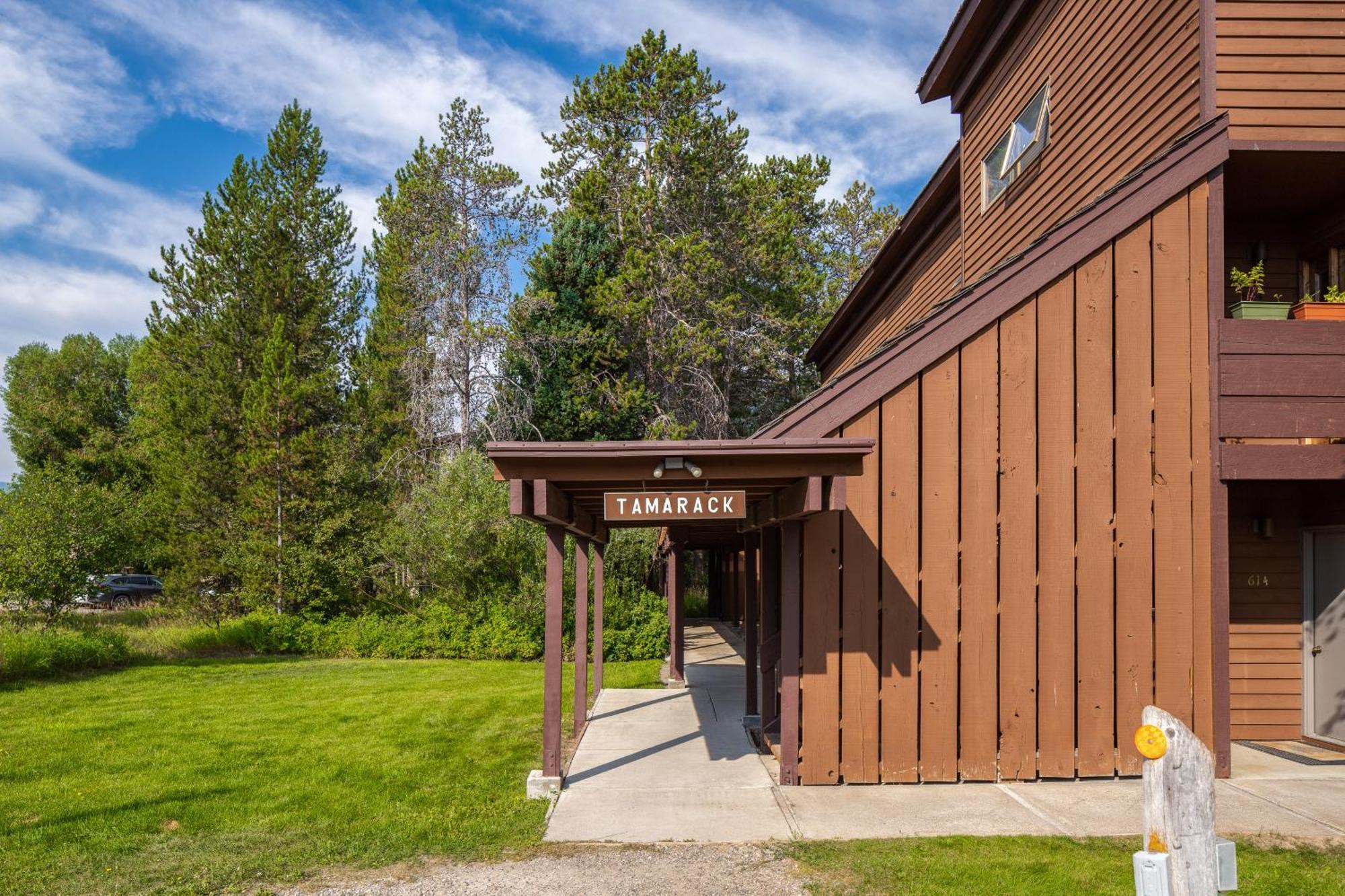 Tamarack Villa Wilson Ruang foto